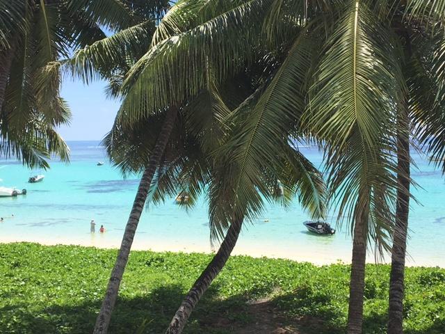 Apartmá  Anse Royale Exteriér fotografie
